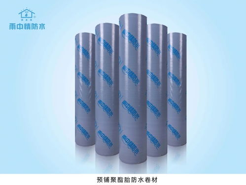 專業(yè)化贏口碑——雨中情防水助力陜西省重點(diǎn)工程防水保溫工程